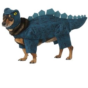 Pet Dinosaur Halloween Costume